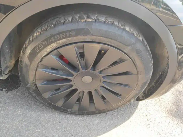 Tesla Model Y — Фото автомобиля 6