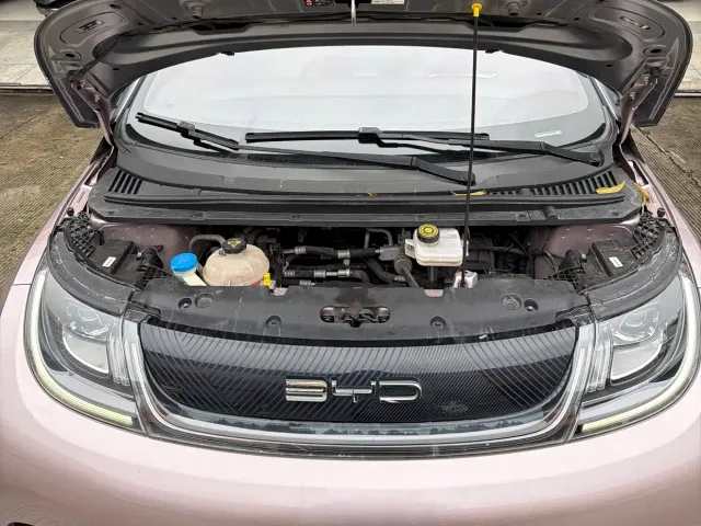 BYD Dolphin 2021 401km Knight Edition — Фото автомобиля 10