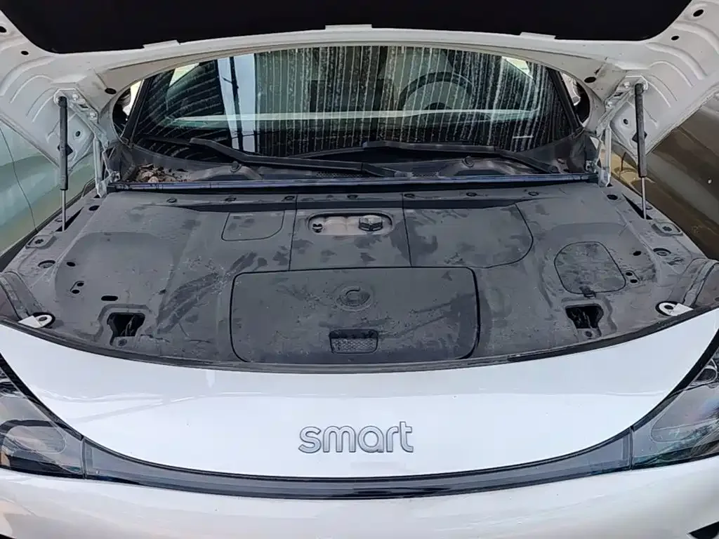 smart smart Elf #1 2022 Premium Edition — Фото автомобиля 19