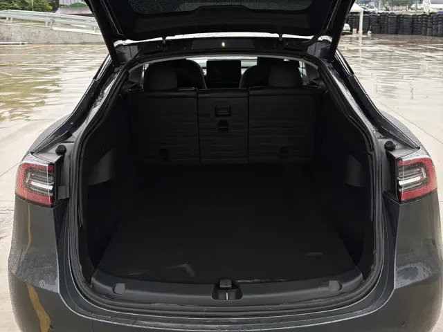Tesla Model Y — Фото автомобиля 10
