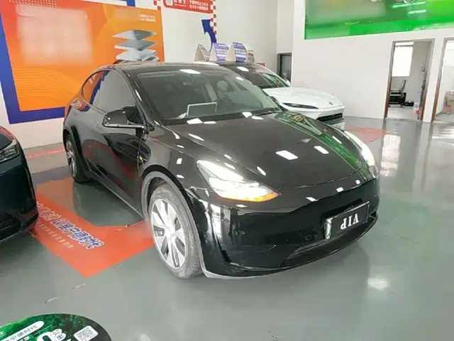 Tesla Model Y — Фото автомобиля 3