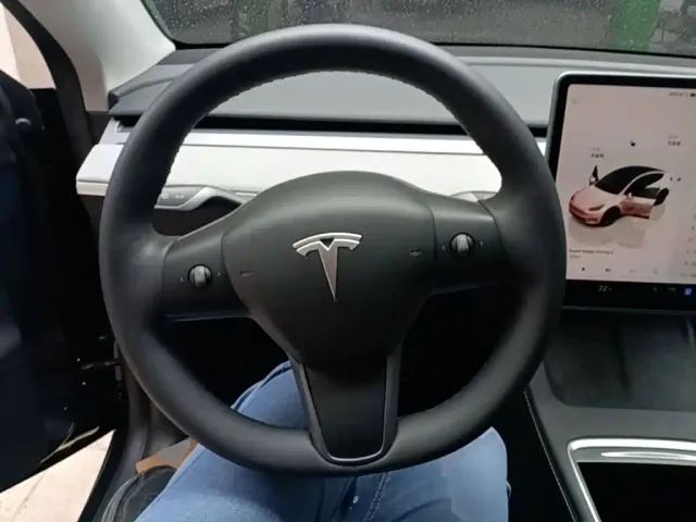 Tesla Model Y — Фото автомобиля 10