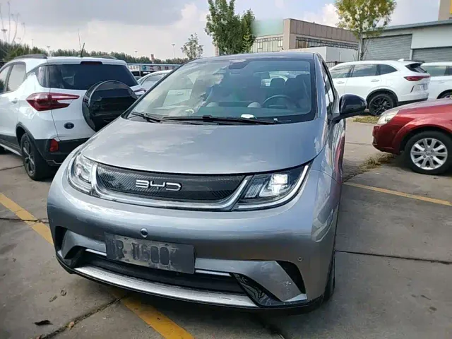 BYD Dolphin — Фото автомобиля 2