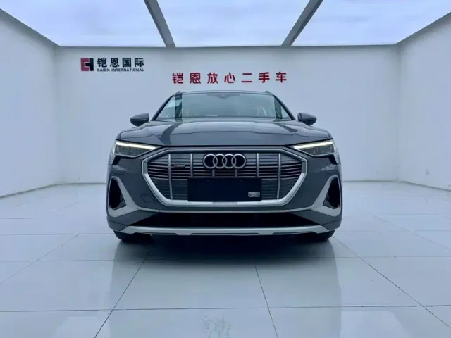 Audi e-tron — Фото автомобиля 3