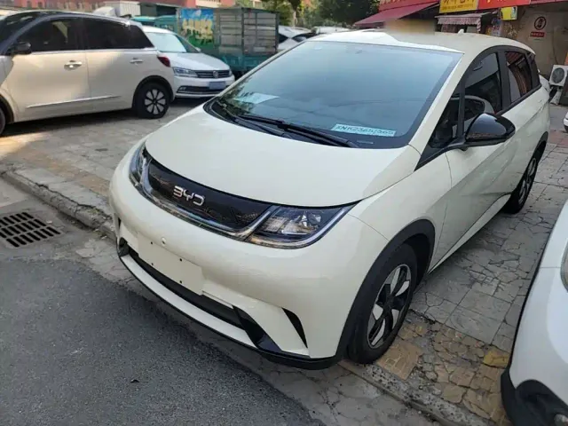Фотография автомобиля — BYD Dolphin