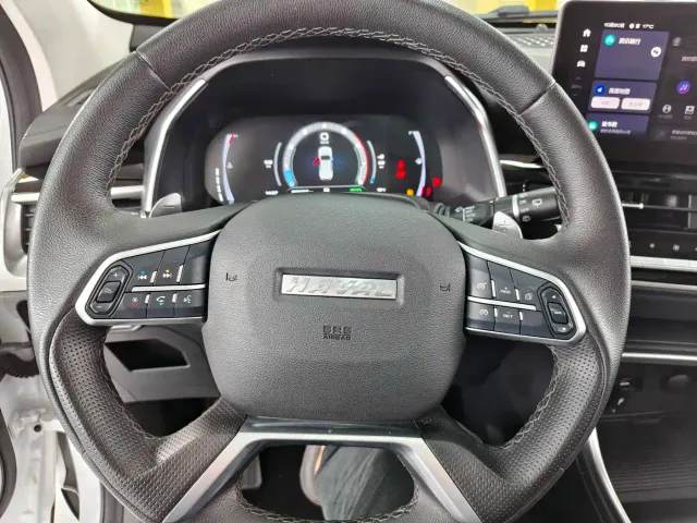 Haval H6 — Фото автомобиля 11