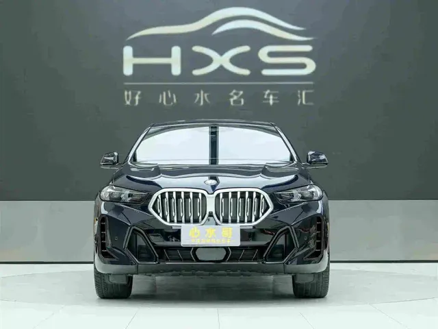 BMW X6 — Фото автомобиля 2