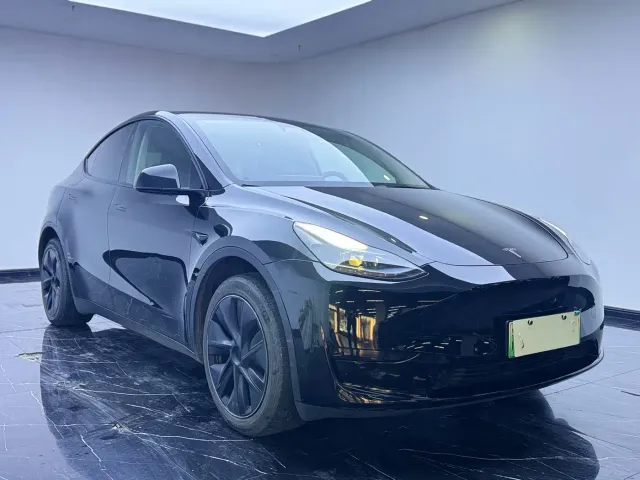 Tesla Model Y — Фото автомобиля 3