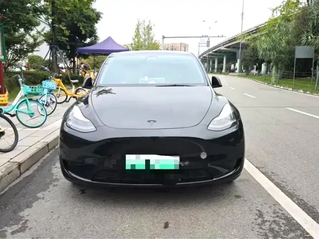 Tesla Model Y — Фото автомобиля 3
