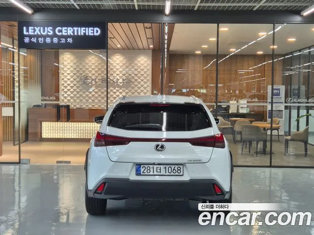Lexus UX UX300h — Фото автомобиля 4