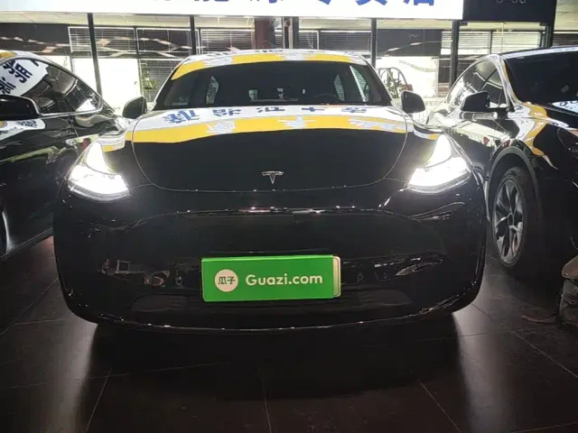 Tesla Model Y — Фото автомобиля 2