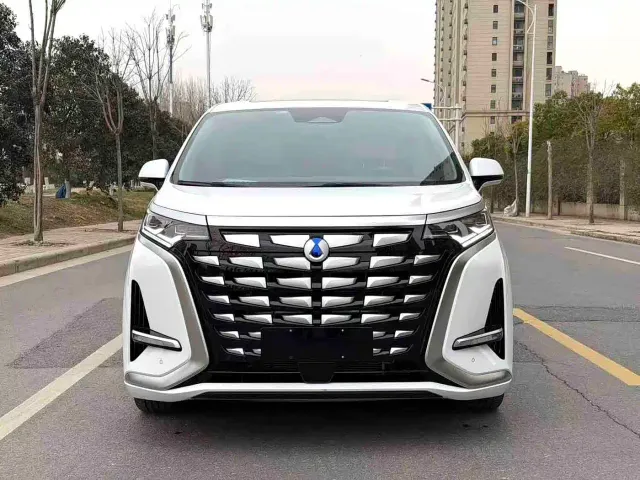 Denza D9 — Фото автомобиля 3