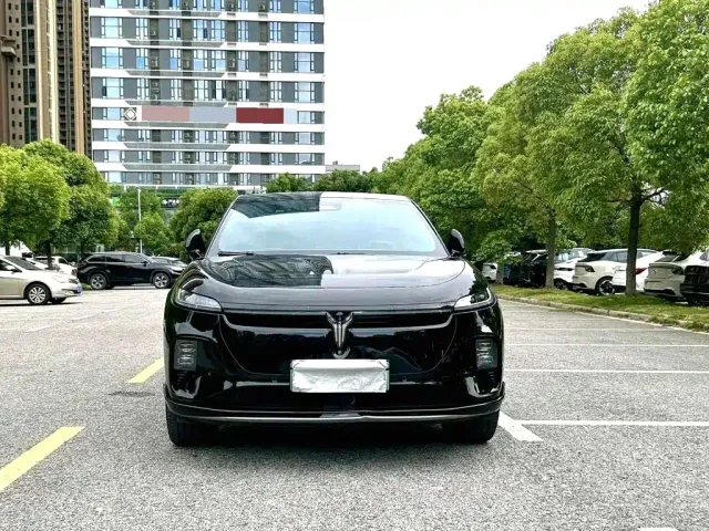 Voyah Auto Voyah Zhiyin 2024 Long Range Super Charging Edition — Фото автомобиля 5