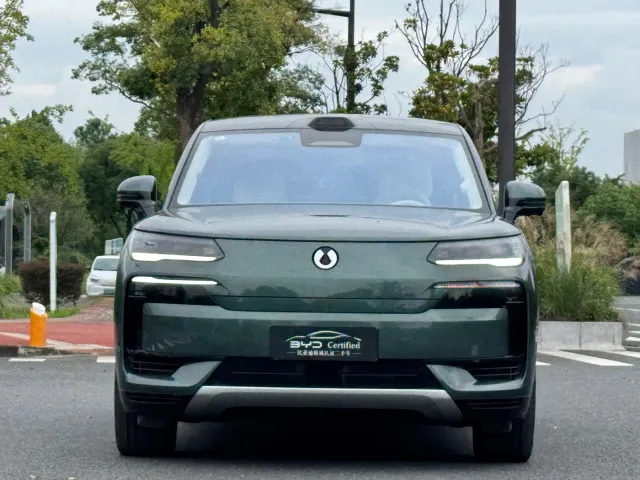 Denza N9 — Фото автомобиля 2
