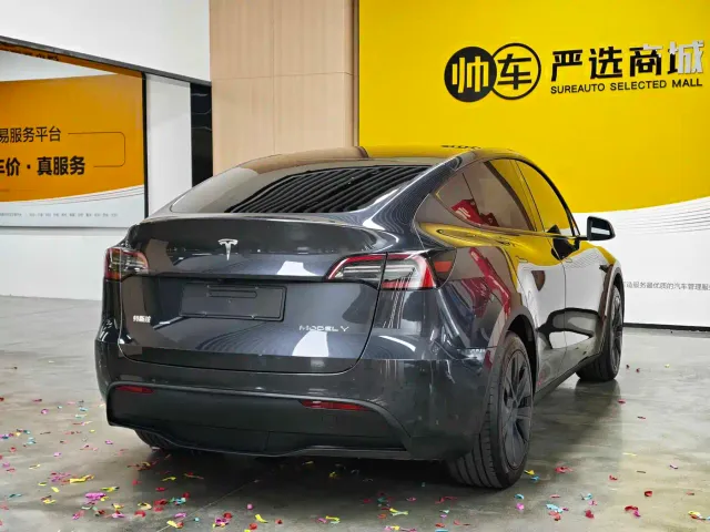 Tesla Model Y — Фото автомобиля 6