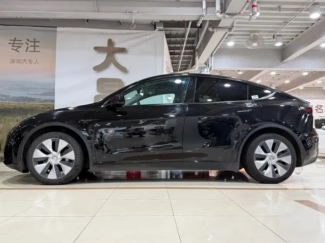 Tesla Model Y — Фото автомобиля 4