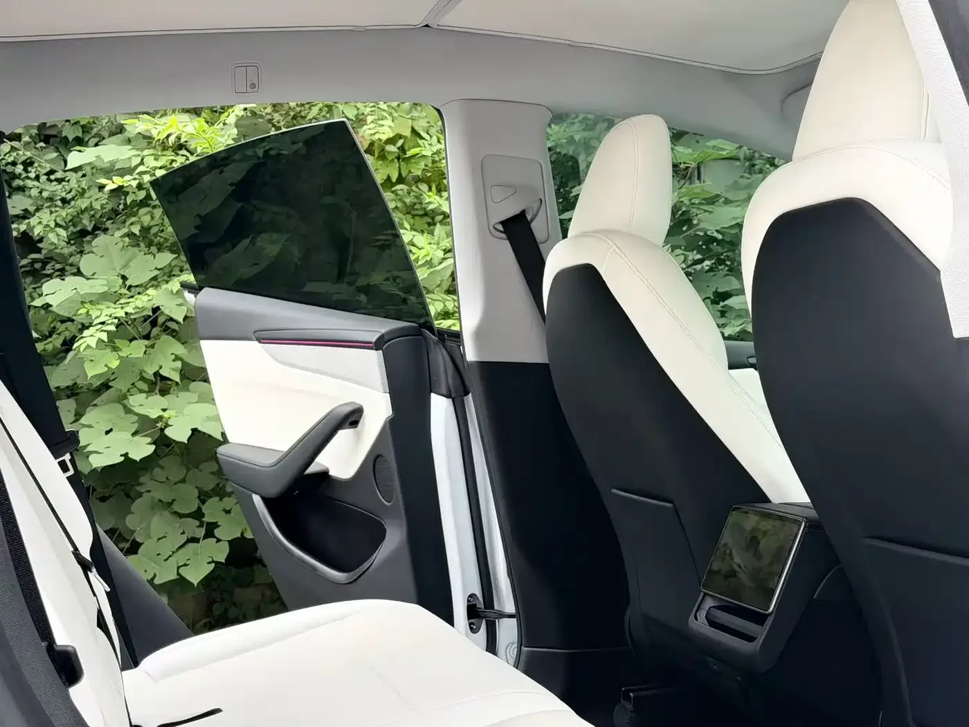 Tesla Model Y 2025 Rear-Wheel Drive — Фото автомобиля 5