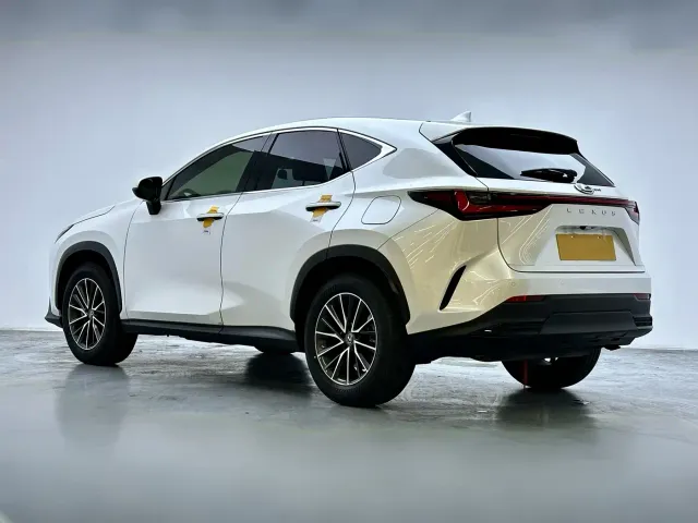 Lexus NX — Фото автомобиля 6