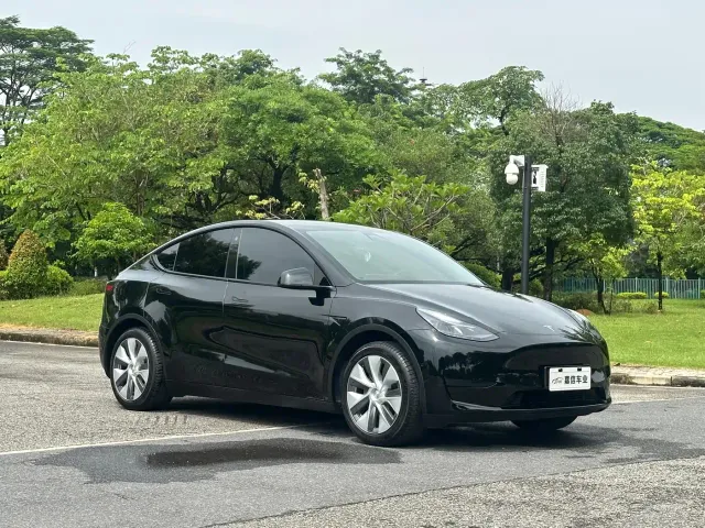Tesla Model Y — Фото автомобиля 3