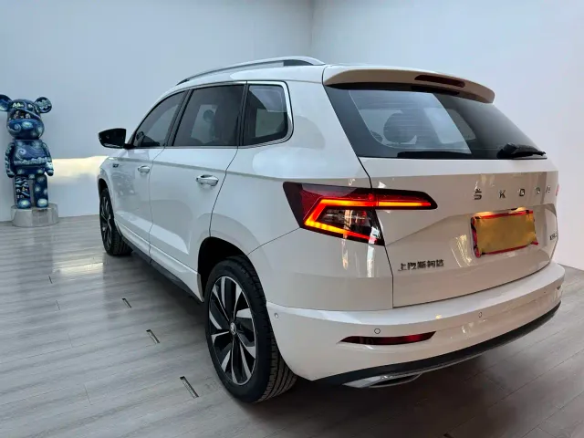 Skoda Karoq — Фото автомобиля 5