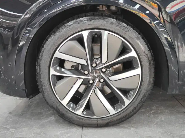 Li Auto L9 — Фото автомобиля 13