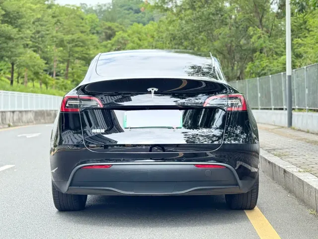 Tesla Model Y — Фото автомобиля 6