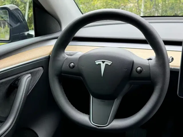 Tesla Model Y — Фото автомобиля 10