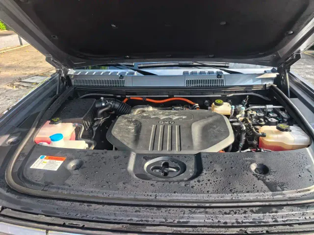 BYD FangChengBao Leopard 5 — Фото автомобиля 20