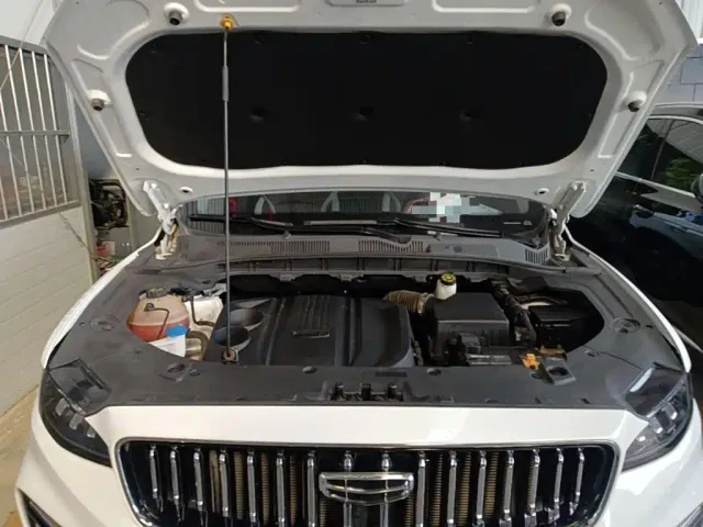 Geely Boyue — Фото автомобиля 19