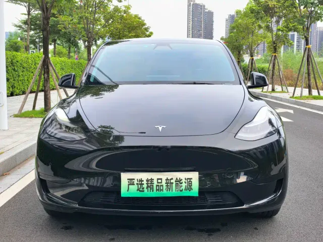 Tesla Model Y — Фото автомобиля 2