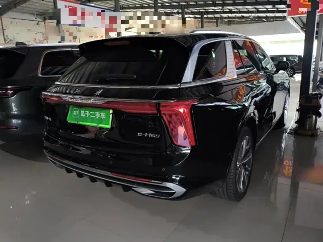 Hongqi E-HS9 — Фото автомобиля 6