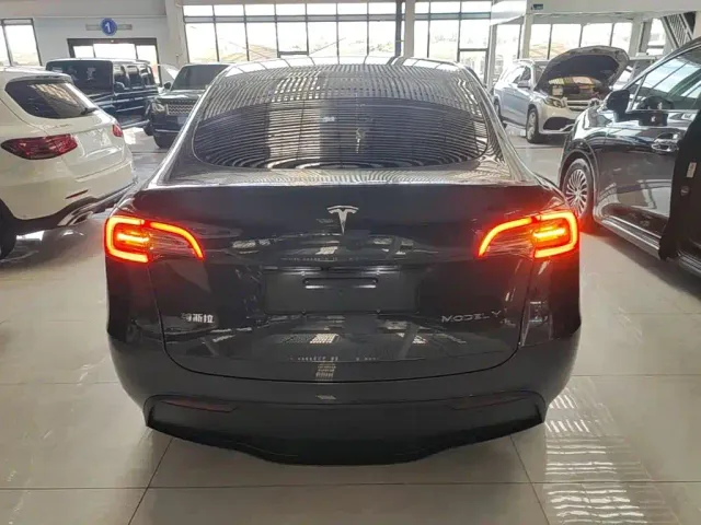 Tesla Model Y — Фото автомобиля 5
