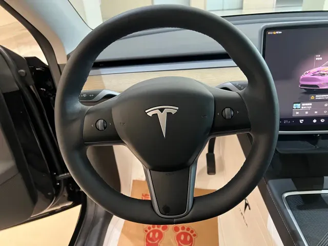 Tesla Model Y — Фото автомобиля 10