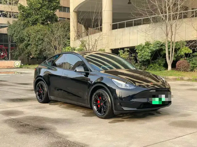 Tesla Model Y — Фото автомобиля 3