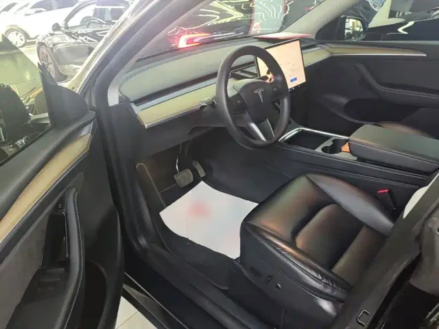 Tesla Model Y — Фото автомобиля 11