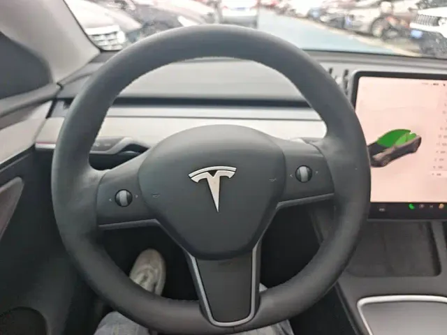 Tesla Model Y — Фото автомобиля 10