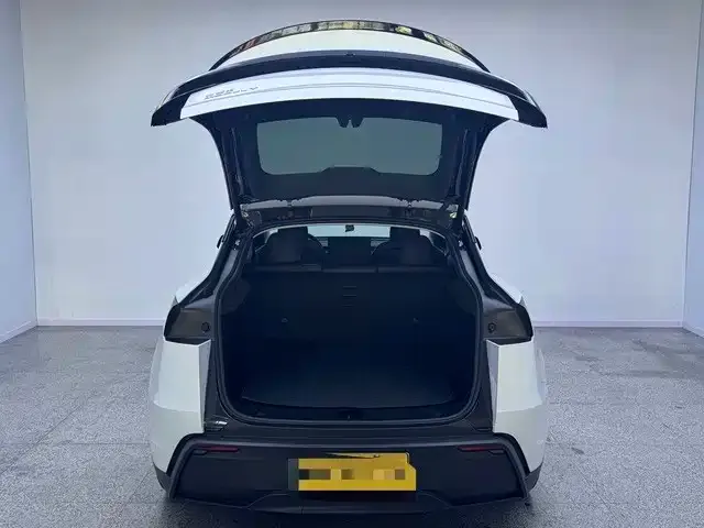 Tesla Model Y — Фото автомобиля 7