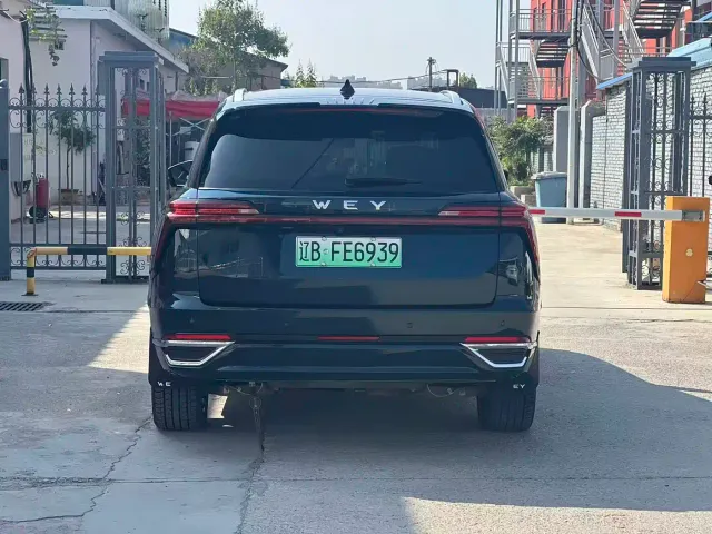 Wey Lanshan — Фото автомобиля 14