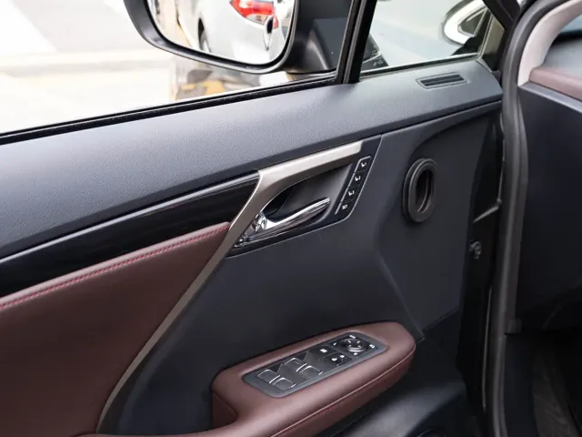 Lexus RX — Фото автомобиля 19