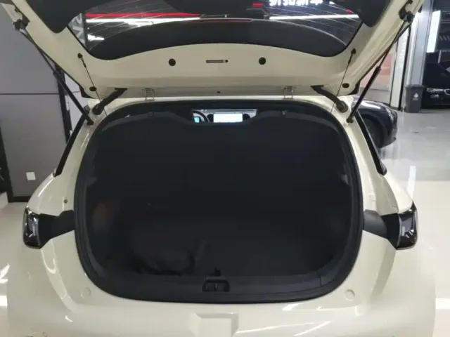 BYD Dolphin — Фото автомобиля 18