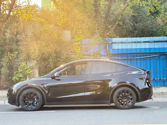 Tesla Model Y — Фото автомобиля 4
