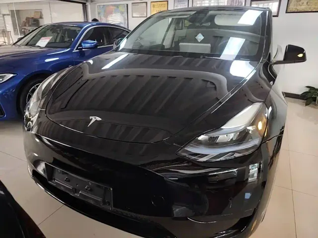 Tesla Model Y — Фото автомобиля 2