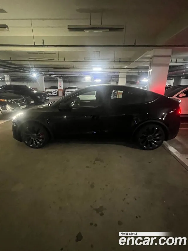 Tesla Model Y — Фото автомобиля 2