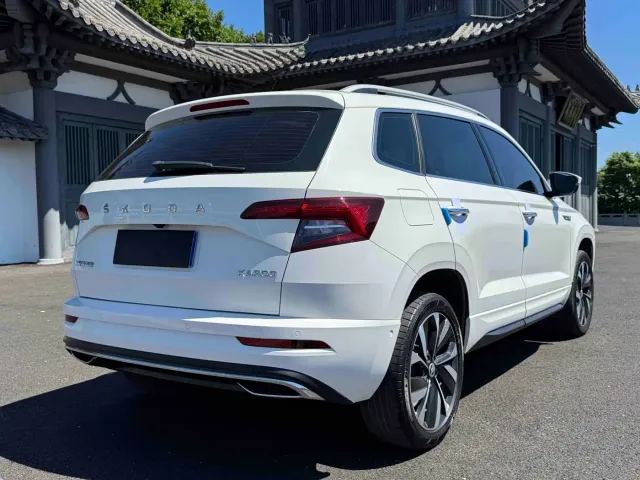 Skoda Karoq — Фото автомобиля 6