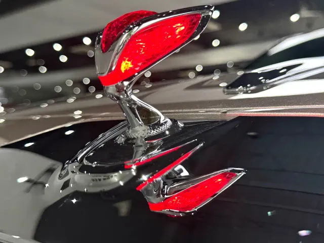 Hongqi Guoya — Фото автомобиля 9