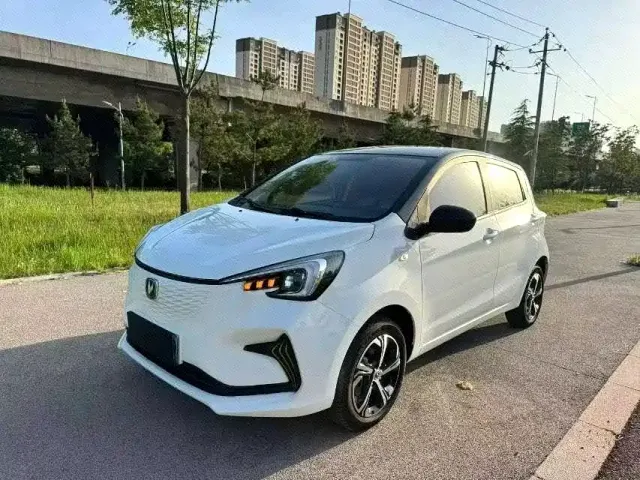 Changan Benben E-Star — Фото автомобиля 2