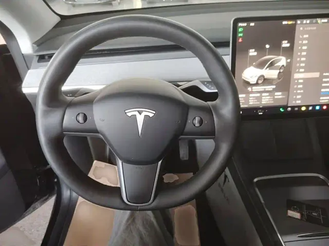 Tesla Model Y — Фото автомобиля 10