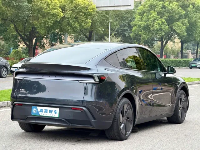 Tesla Model Y — Фото автомобиля 4