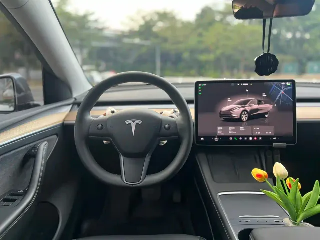Tesla Model Y — Фото автомобиля 14