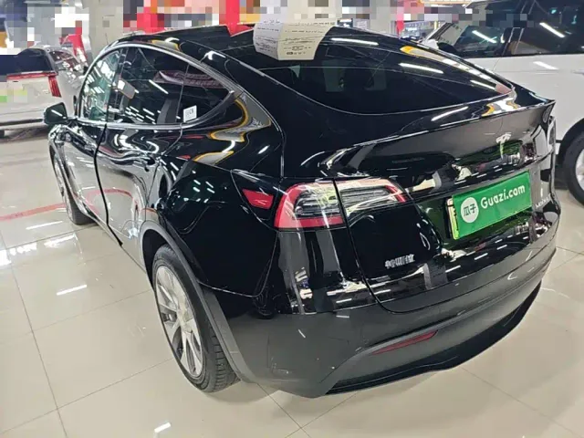Tesla Model Y — Фото автомобиля 4